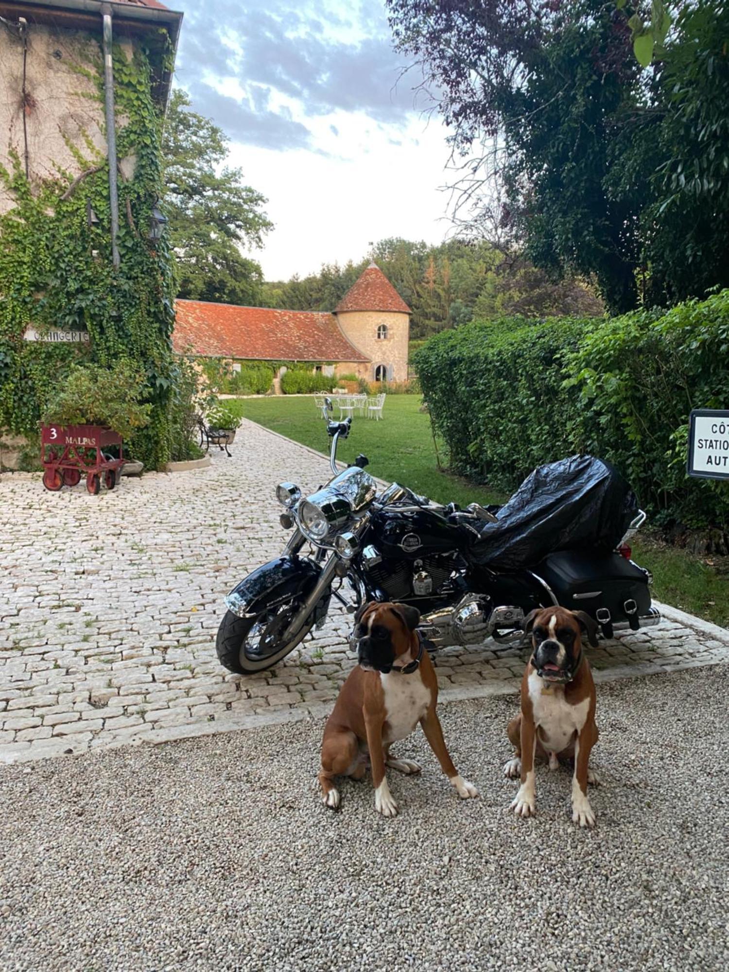 La Roulotte Deluxe De Malpas Bed and Breakfast Quingey Buitenkant foto